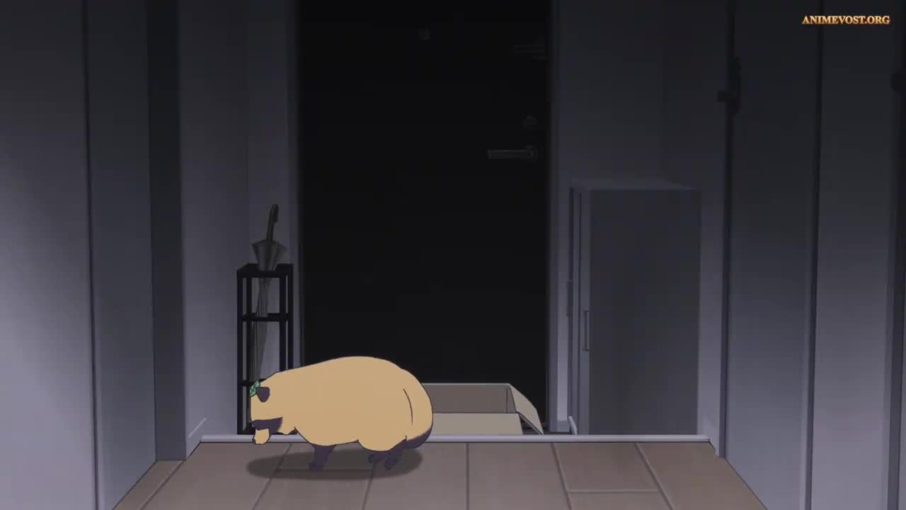 Дождь и ты